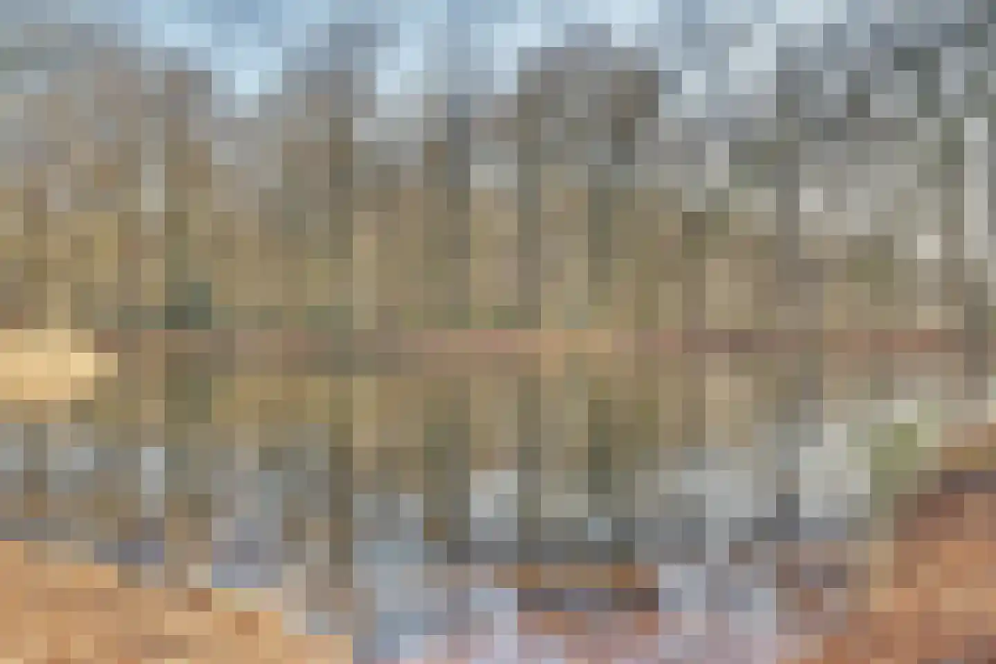 Taets van Amerongenweg 48 Renswoude thumbnail 35