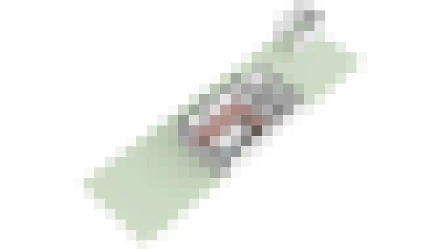 Taets van Amerongenweg 48 Renswoude thumbnail 44