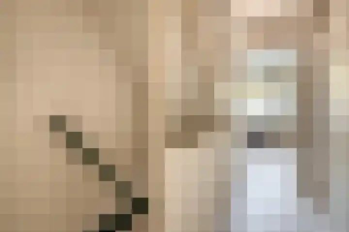 Tafelbaai 12 Capelle aan den IJssel thumbnail 17