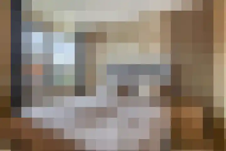 Tafelbaai 12 Capelle aan den IJssel thumbnail 19