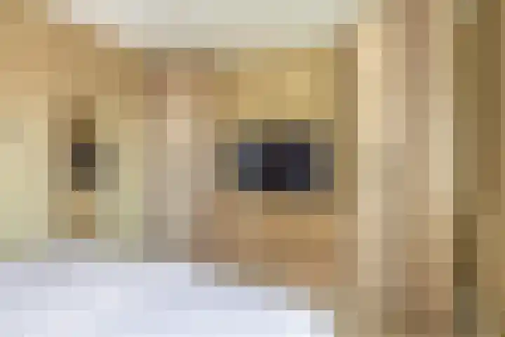Tafelbaai 12 Capelle aan den IJssel thumbnail 20