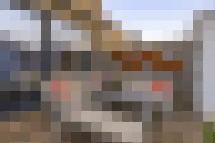 Tafelbaai 12 Capelle aan den IJssel thumbnail 31