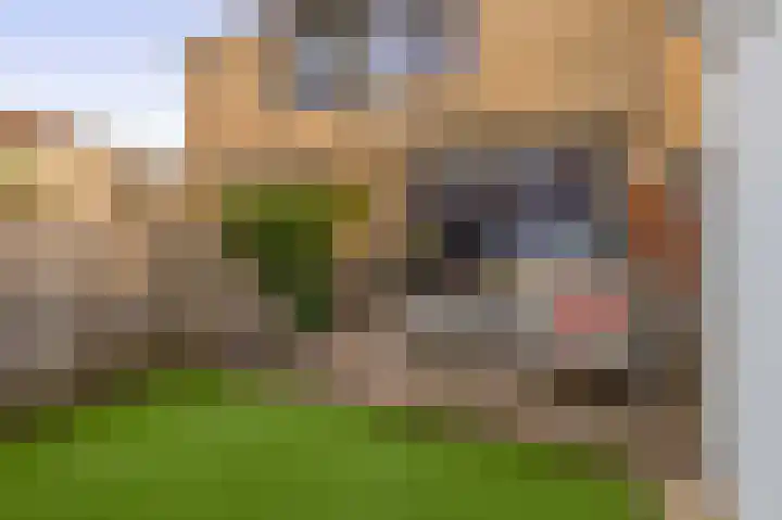 Tafelbaai 12 Capelle aan den IJssel thumbnail 34
