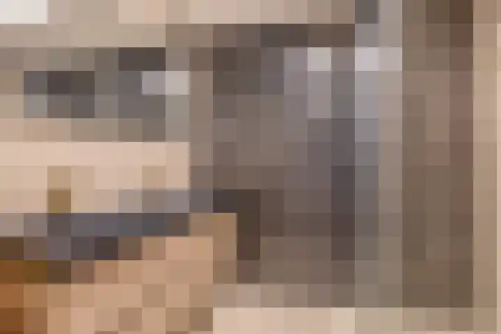Tafelbaai 12 Capelle aan den IJssel thumbnail 4