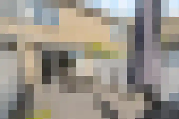 Tafelbaai 17 Capelle aan den IJssel thumbnail 25