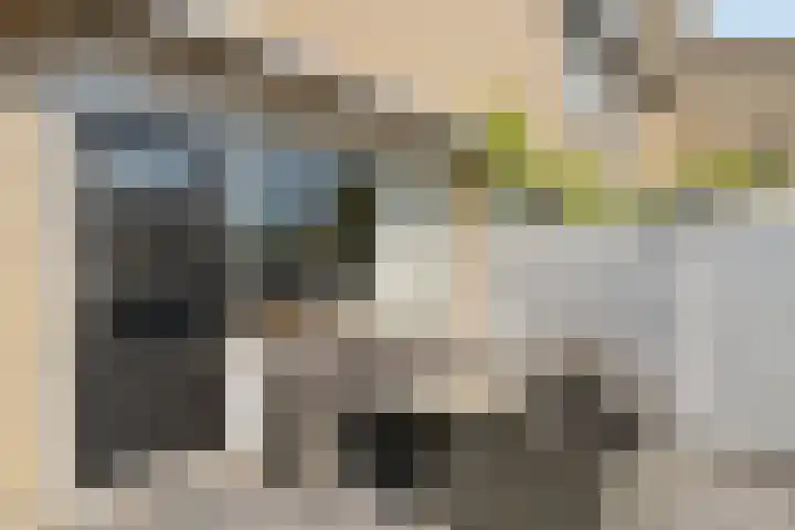 Tafelbaai 17 Capelle aan den IJssel thumbnail 26