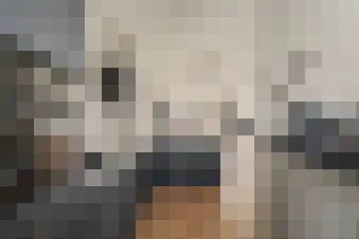 Tafelbaai 17 Capelle aan den IJssel thumbnail 6