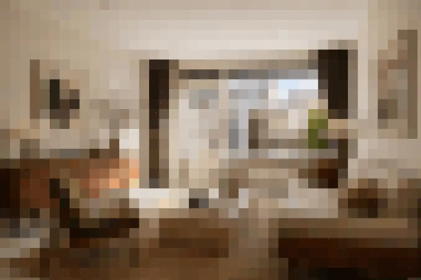 Tafelbaai 23 Capelle aan den IJssel thumbnail 9