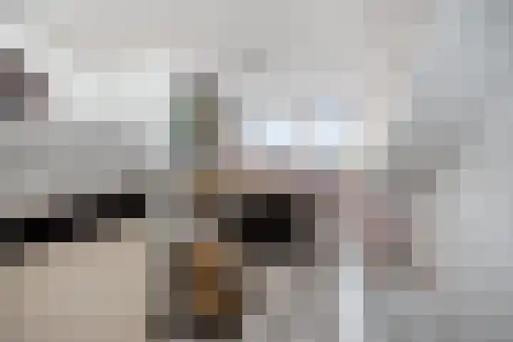 Tafelbaai 31 Capelle aan den IJssel thumbnail 13