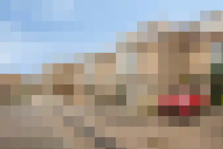 Tafelbaai 31 Capelle aan den IJssel thumbnail 17