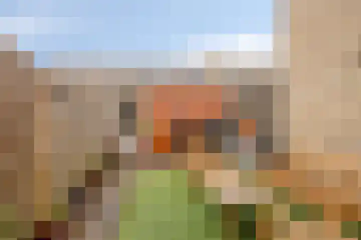 Tafelbaai 31 Capelle aan den IJssel thumbnail 19