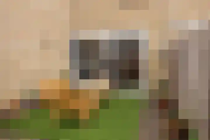 Tafelbaai 31 Capelle aan den IJssel thumbnail 20