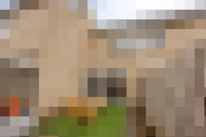 Tafelbaai 31 Capelle aan den IJssel thumbnail 21