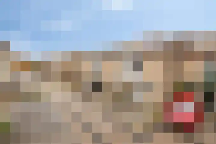 Tafelbaai 31 Capelle aan den IJssel thumbnail 23