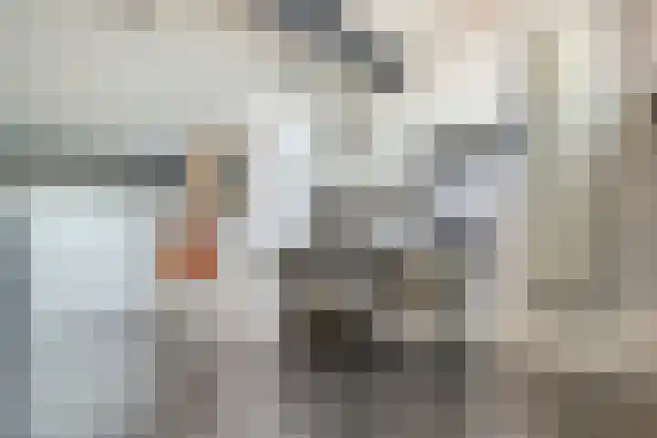 Tafelbaai 37 Capelle aan den IJssel thumbnail 27