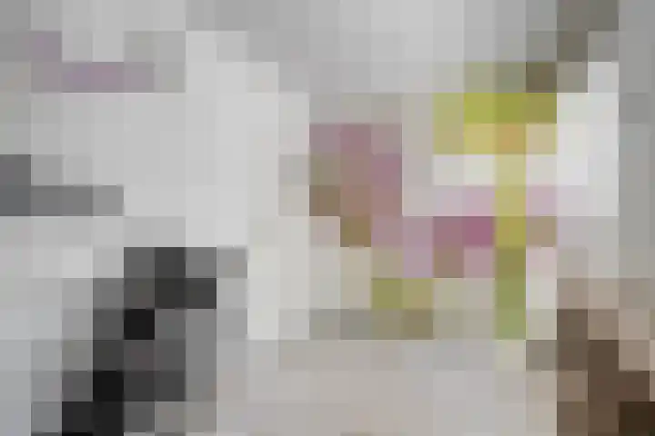 Tafelbaai 37 Capelle aan den IJssel thumbnail 32