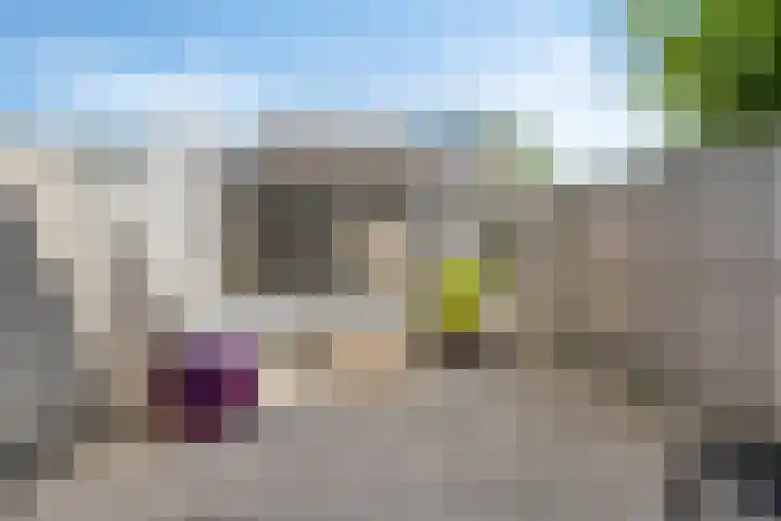 Tafelbaai 37 Capelle aan den IJssel thumbnail 5