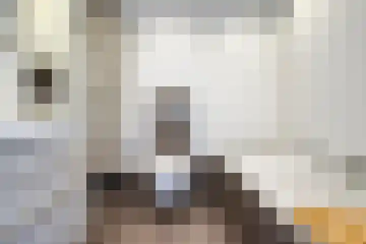 Tafelbaai 37 Capelle aan den IJssel thumbnail 6