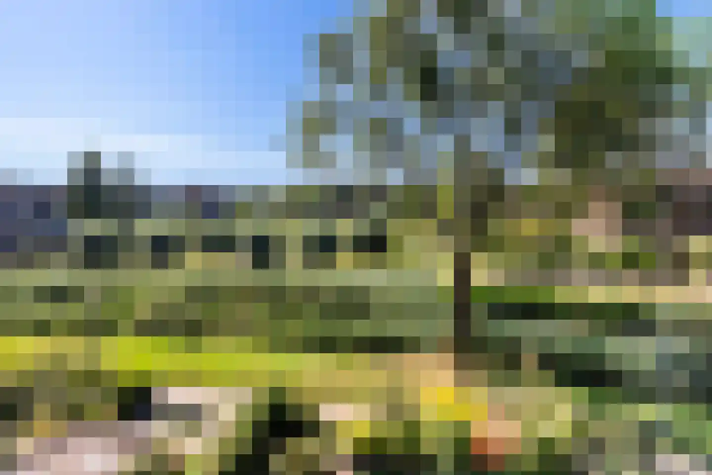 Tafelberg 76 Dordrecht thumbnail 30