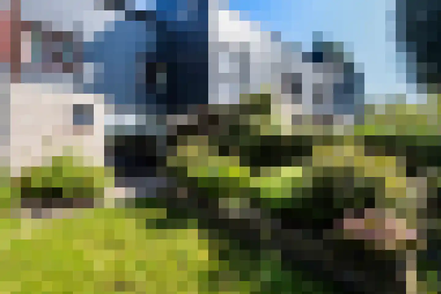 Tafelberg 76 Dordrecht thumbnail 4