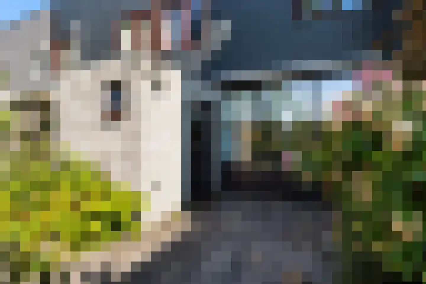 Tafelberg 76 Dordrecht thumbnail 5