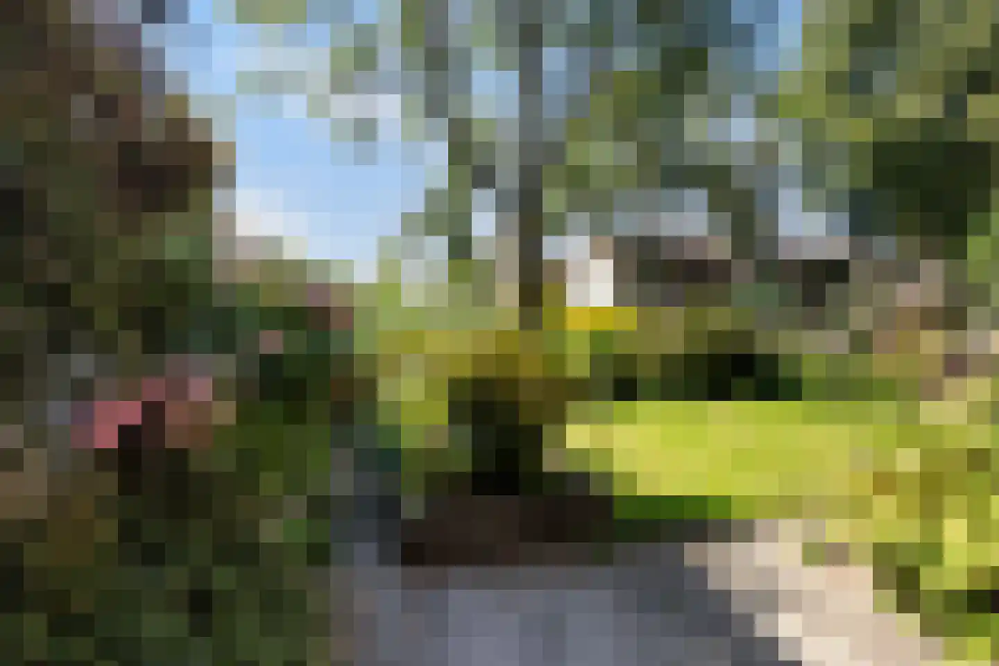Tafelberg 76 Dordrecht thumbnail 6
