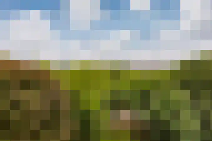 Tafelbergdreef 104 Utrecht thumbnail 17