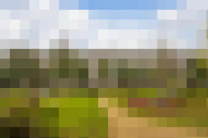 Tafelbergdreef 104 Utrecht thumbnail 18