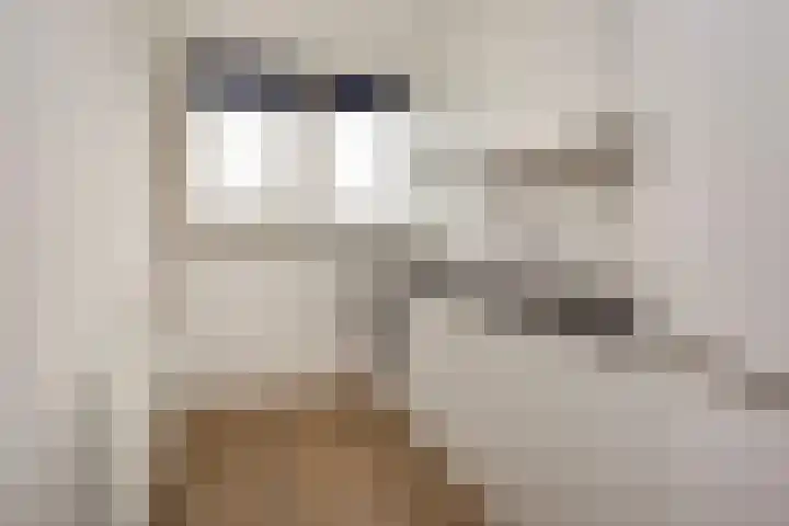 Tafelbergdreef 104 Utrecht thumbnail 7