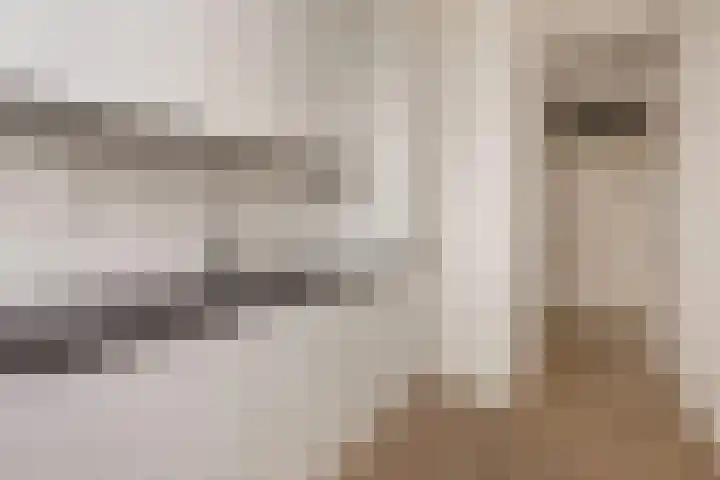 Tafelbergdreef 104 Utrecht thumbnail 9
