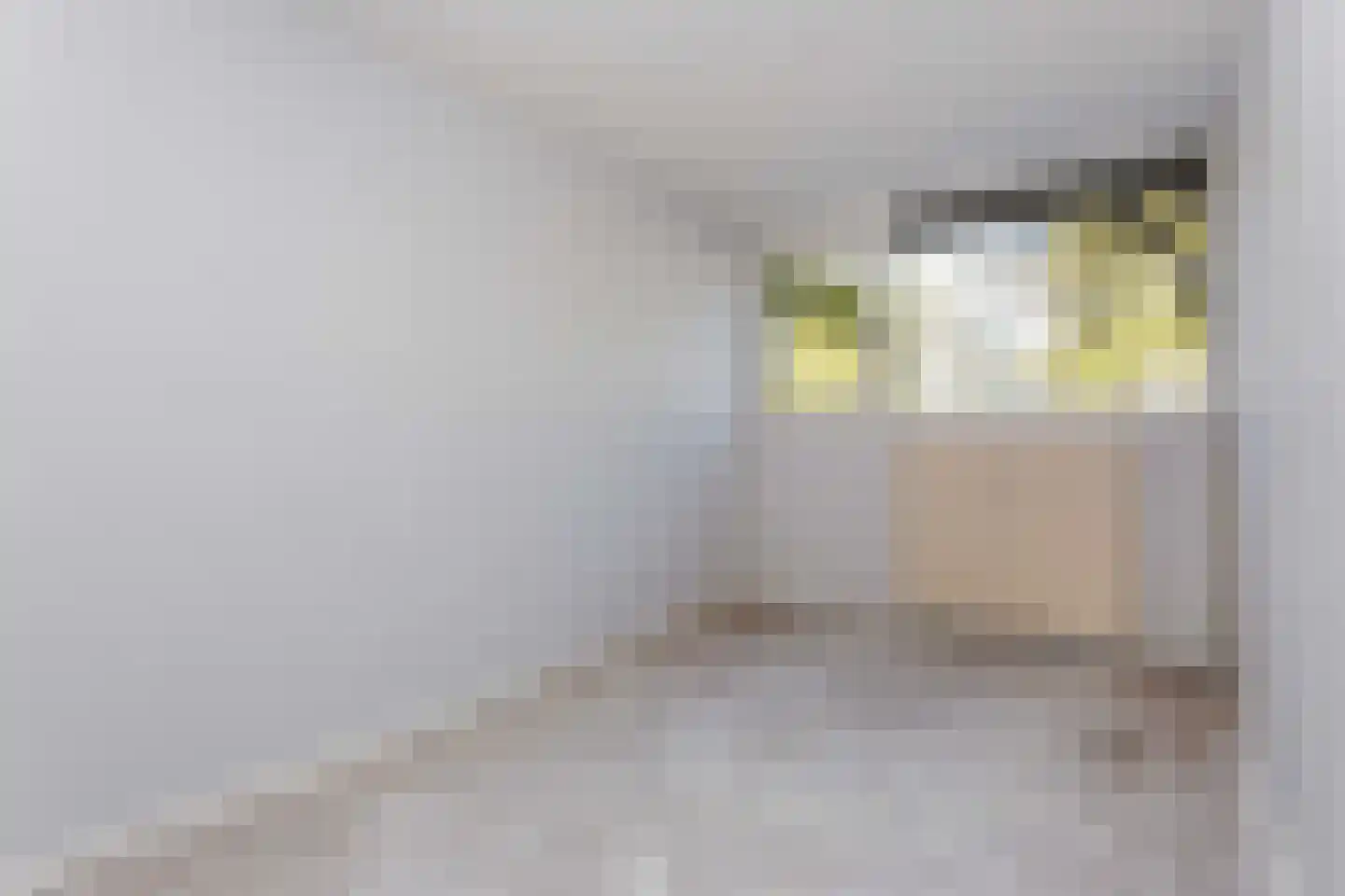 Tafelbergdreef 114 Utrecht thumbnail 18