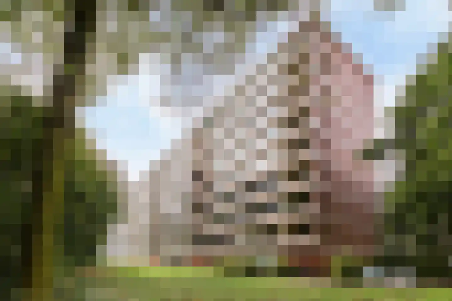 Tafelbergdreef 114 Utrecht thumbnail 24