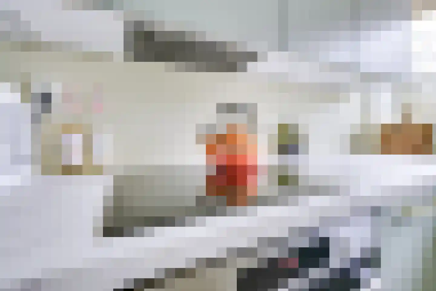 Tafelbergdreef 118 Utrecht thumbnail 16