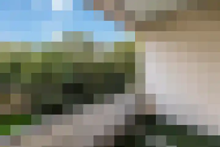 Tafelbergdreef 126 Utrecht thumbnail 27
