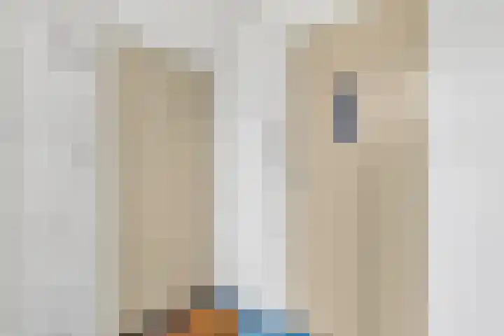 Tafelbergdreef 126 Utrecht thumbnail 31