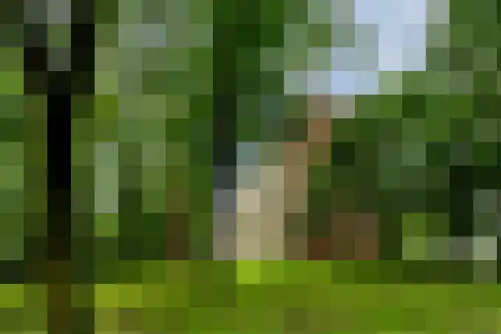 Tafelbergdreef 126 Utrecht thumbnail 33