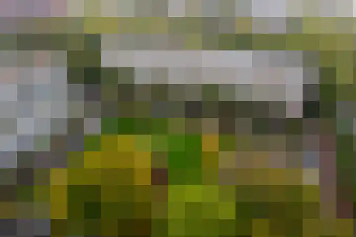 Tafelbergdreef 126 Utrecht thumbnail 34