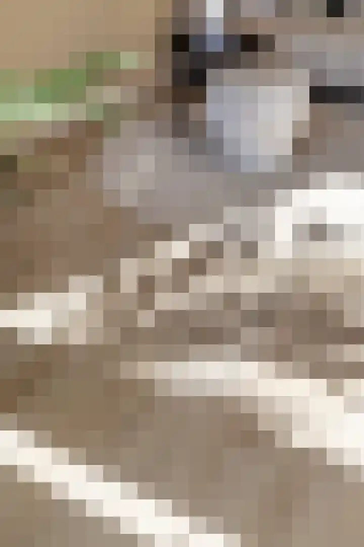 Tafelbergdreef 126 Utrecht thumbnail 7