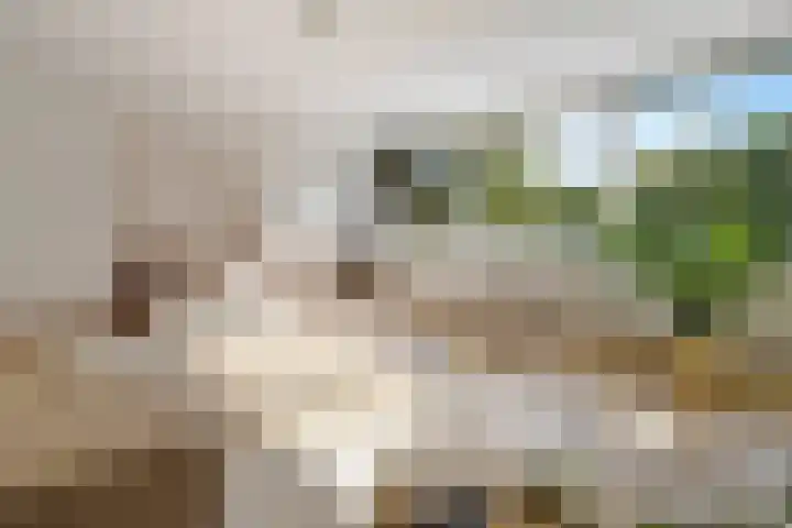 Tafelbergdreef 126 Utrecht thumbnail 8