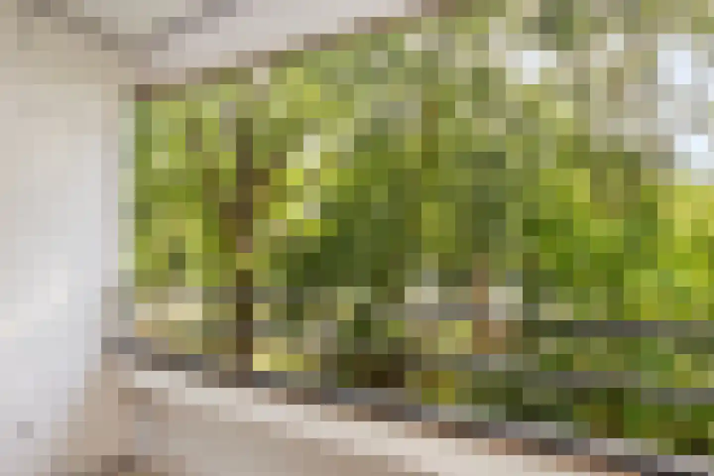 Tafelbergdreef 14 Utrecht thumbnail 17