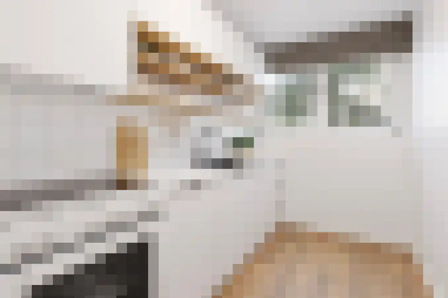 Tafelbergdreef 14 Utrecht thumbnail 7