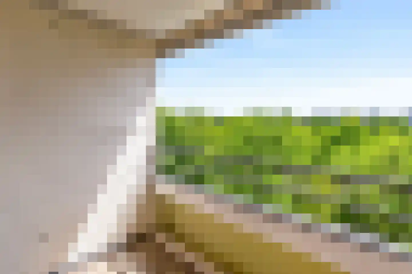 Tafelbergdreef 142 Utrecht thumbnail 15