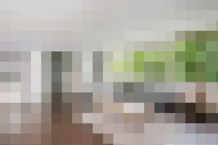 Tafelbergdreef 154 Utrecht thumbnail 10