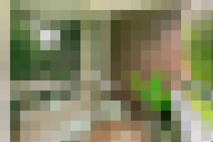 Tafelbergdreef 154 Utrecht thumbnail 17