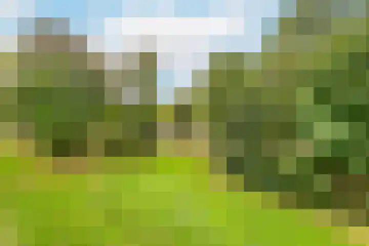 Tafelbergdreef 154 Utrecht thumbnail 18