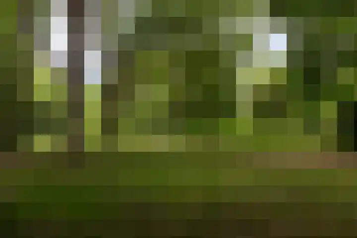 Tafelbergdreef 154 Utrecht thumbnail 34