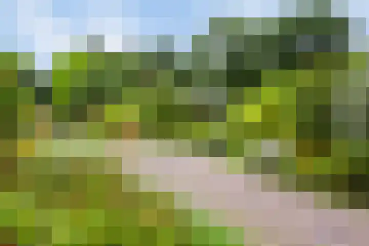 Tafelbergdreef 154 Utrecht thumbnail 35