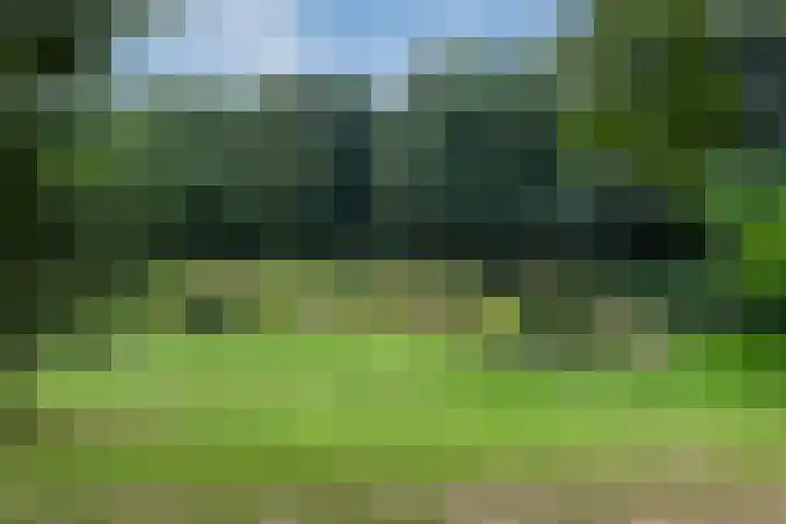 Tafelbergdreef 154 Utrecht thumbnail 39