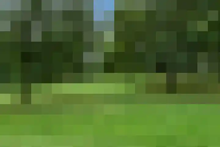 Tafelbergdreef 154 Utrecht thumbnail 40