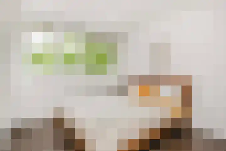 Tafelbergdreef 154 Utrecht thumbnail 5